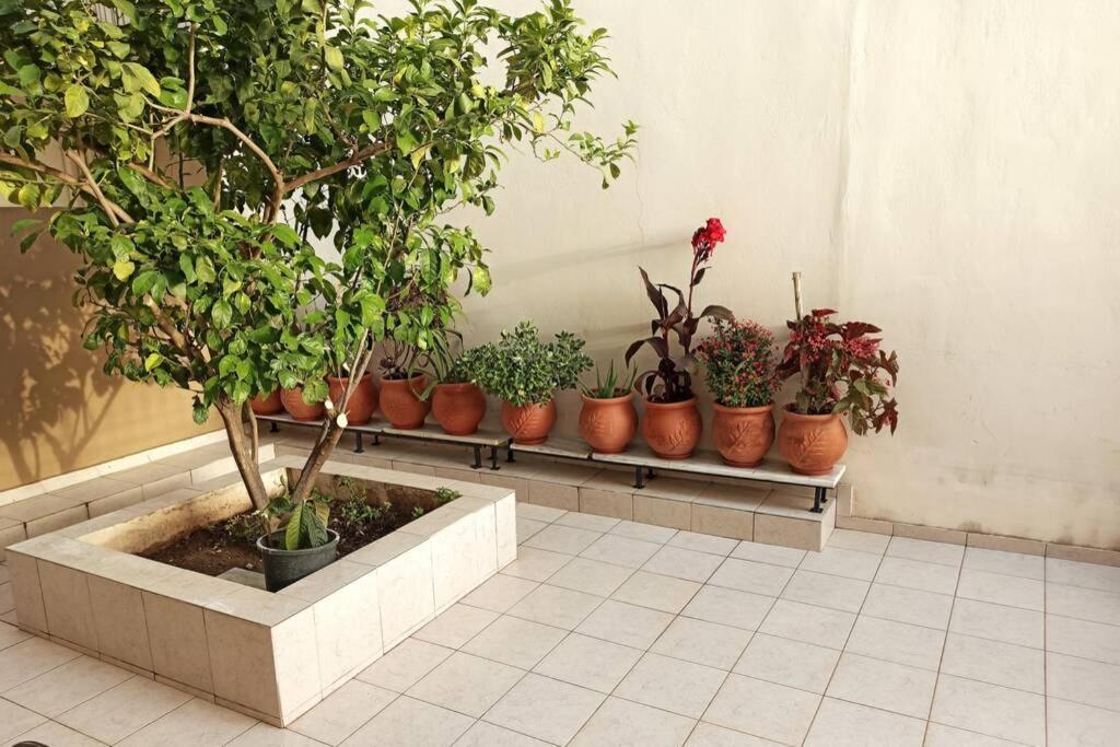 Jilda S Apartment With Private Garden! 나플리오 외부 사진