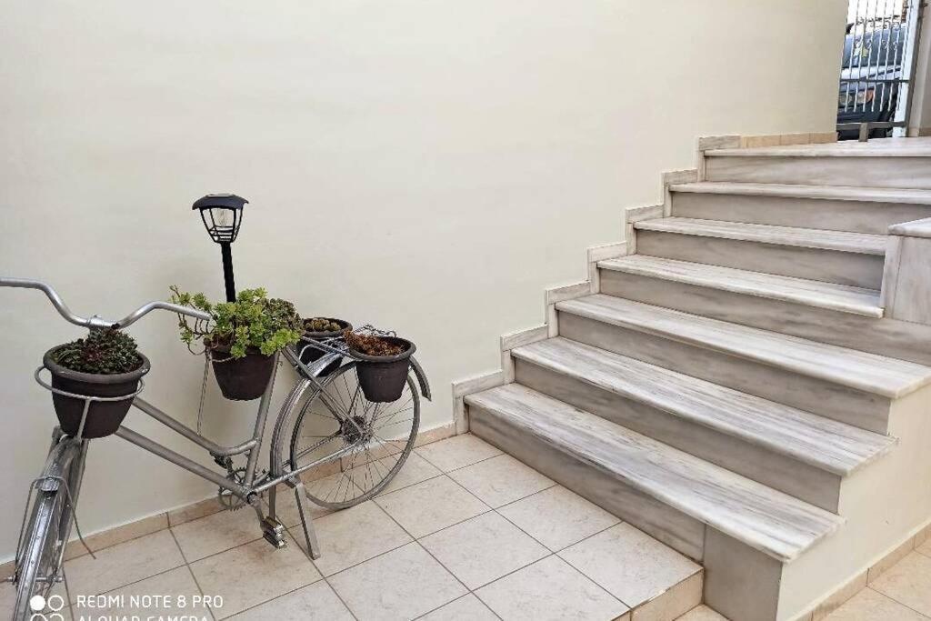 Jilda S Apartment With Private Garden! 나플리오 외부 사진